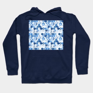 Math in color (indigo) Hoodie